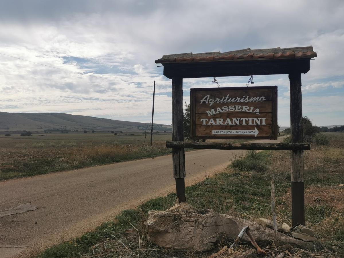 Masseria Tarantini Castel Del Monte  Kültér fotó